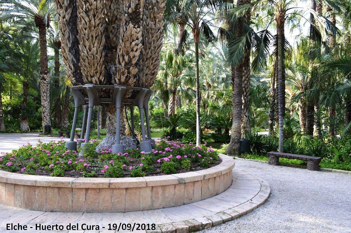 19 ELCHE HUERTO DEL CURA (114).JPG